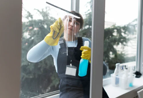 Nettoyage de vitres intérieures et extérieures à Contamine-Sarzin
